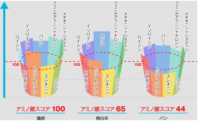 アミノ酸スコア