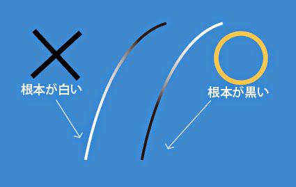 根本が白い、根本が黒い