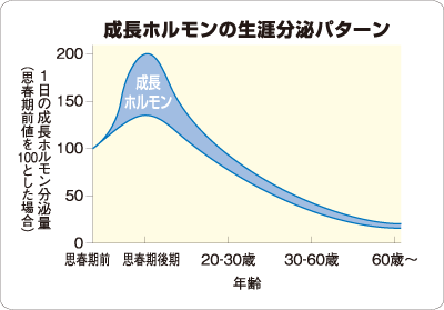 成長ホルモンの生涯分泌パターン