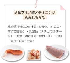 メチオニンが多く含まれる食材