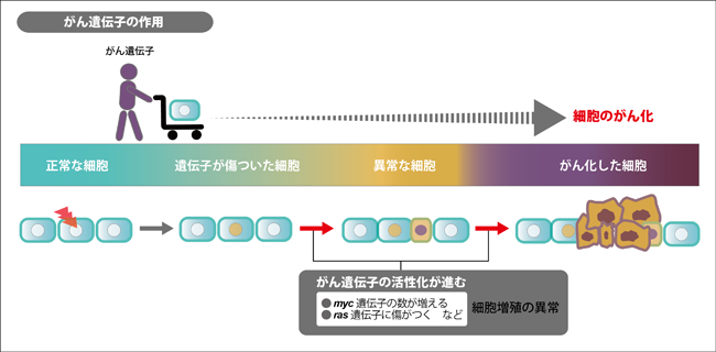 出典：https://ganjoho.jp/