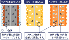 ヘアカラーと白髪染めの違い