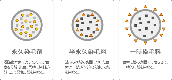 出典：https://www.pandp.co.jp/