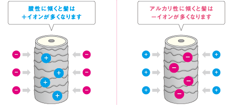 出典：http://www.demi.nicca.co.jp/