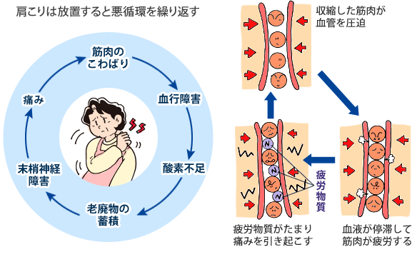 http://www.taikyo.co.jp/