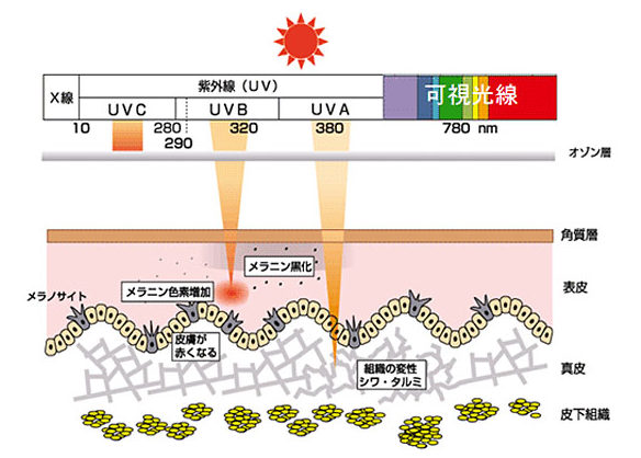 出典：http://www.biccamera.com/