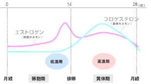 出典：http://www.tarumi-labo.com/