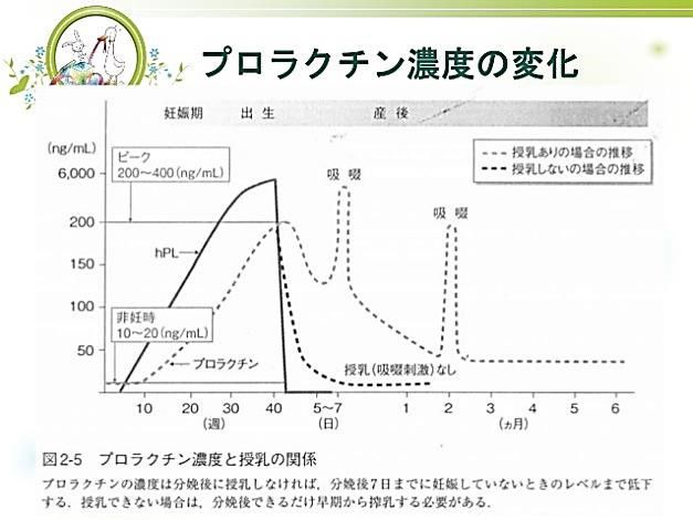 出典：http://taemushi.blog71.fc2.com/