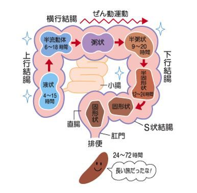 出典：http://www.taisho.co.jp/