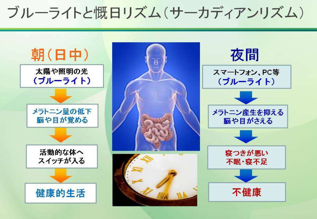 出典：https://chuplus.jp/