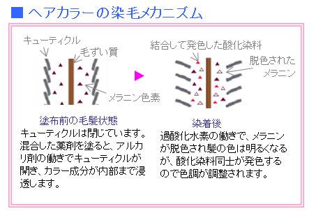 出典：http://www.arata-gr.jp/