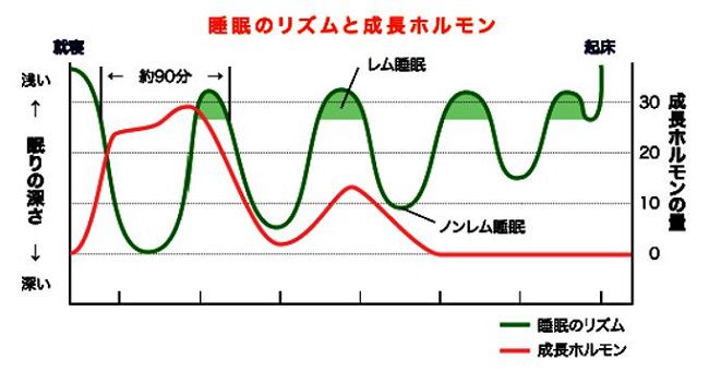 出典：http://www.shirokawa.jp/column/