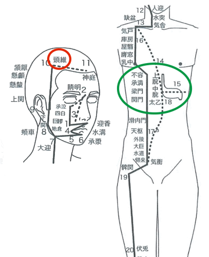 出典：http://www.yukioka.ac.jp/