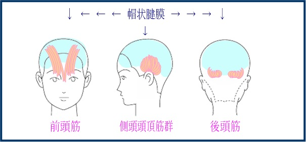 出典：http://kaminchu.com/