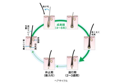 出典：http://www.kao.com/jp/