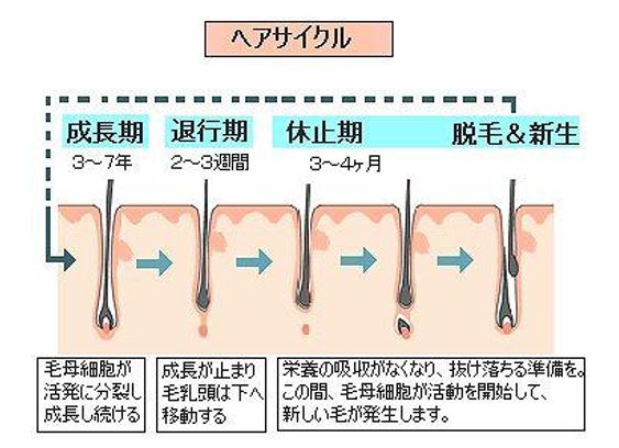 出典：http://cafebleu.blog14.fc2.com/