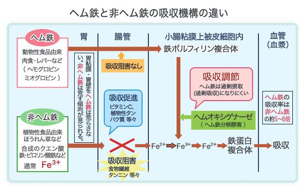 出典：https://www.e-expo.net/