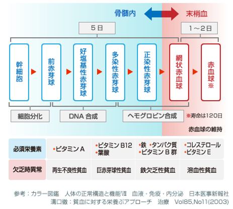 出典：http://www.ils.co.jp/