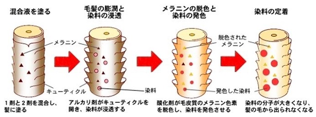 出典：http://keanu.wp.xdomain.jp/