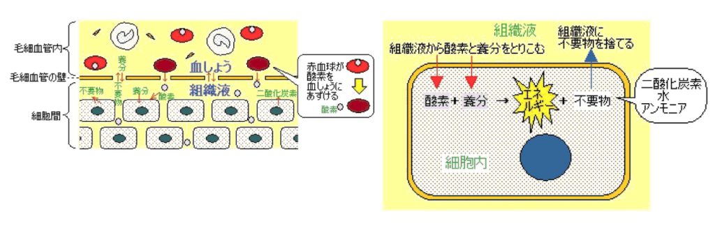 出典：http://www.e-kanpo.jp/