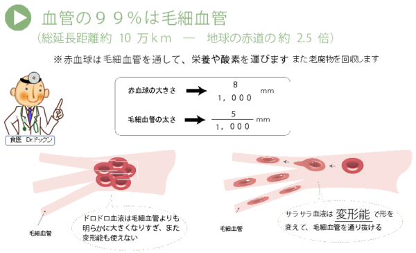 出典：http://kenkoukouso.com/