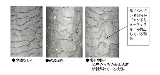 出典：http://www.kracie.co.jp/