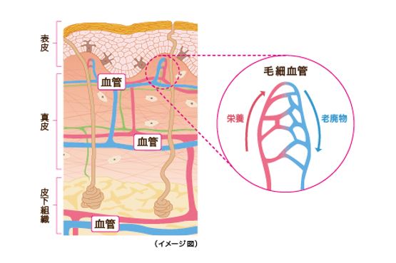 出典：http://www.kao.com/jp/