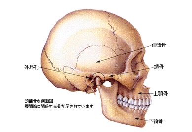 出典：http://www.kkdental.com/