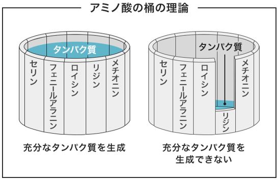 出典：http://cp.glico.jp/powerpro/