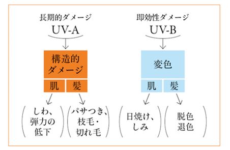 出典：https://woman.excite.co.jp/