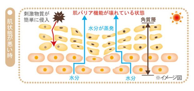 出典：http://www.naturalweb.co.jp/