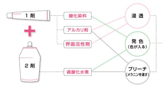 出典：http://www.demi.nicca.co.jp/