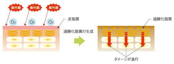 出典：http://www.demi.nicca.co.jp/