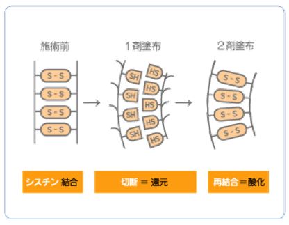 出典：http://www.demi.nicca.co.jp/