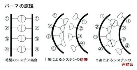 出典：http://cafebleu.blog14.fc2.com/