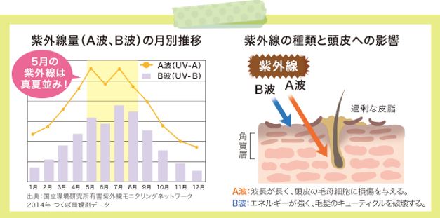 出典：https://www.my-nature.jp/