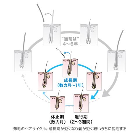 出典：http://www.kao.com/jp/