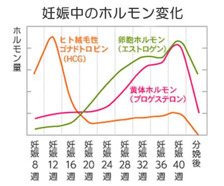 出典：http://www.asg-platform.org/maternity-note/