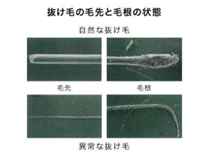 出典：http://www.kao.com/jp/