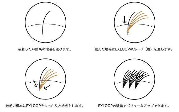 出典：https://bioam.co.jp/