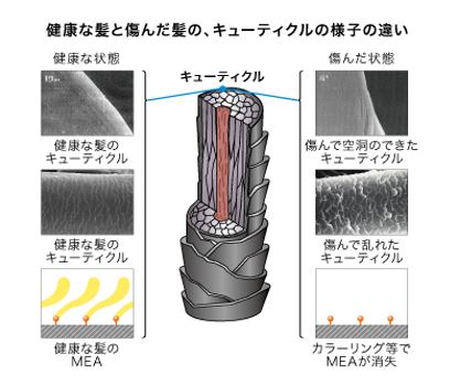 出典：http://www.kao.com/jp/