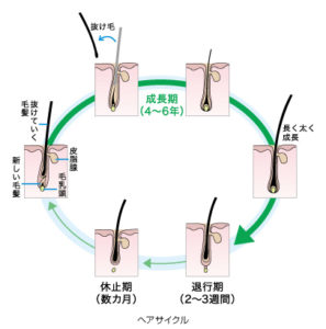 出典：http://www.kao.com/