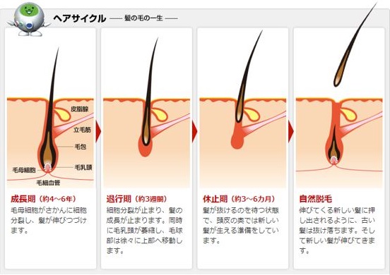 出典：https://www.reve21.co.jp/