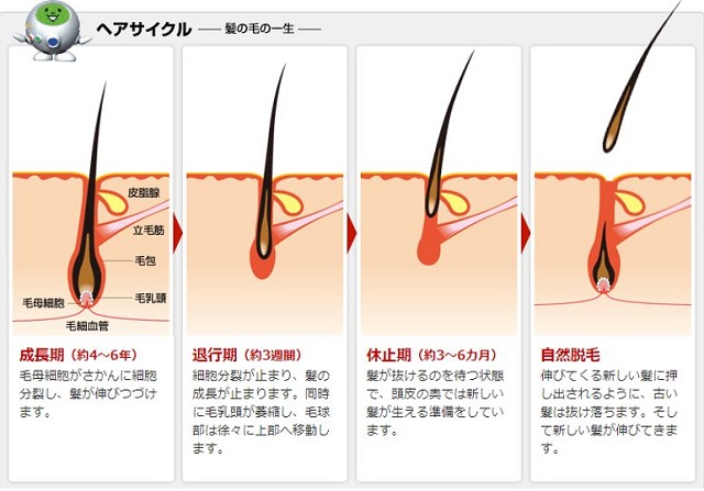 出典：https://www.reve21.co.jp/