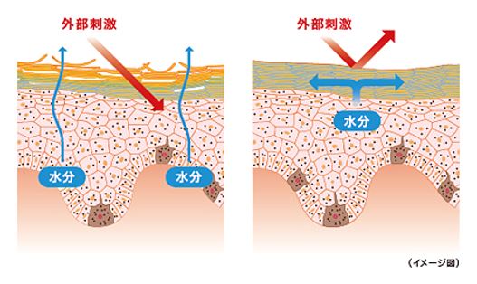 出典：http://www.kao.com/jp/