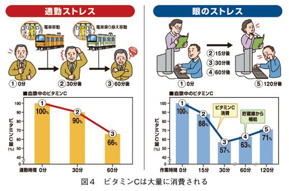 出典：https://vegetable.alic.go.jp/yasaijoho/joho/