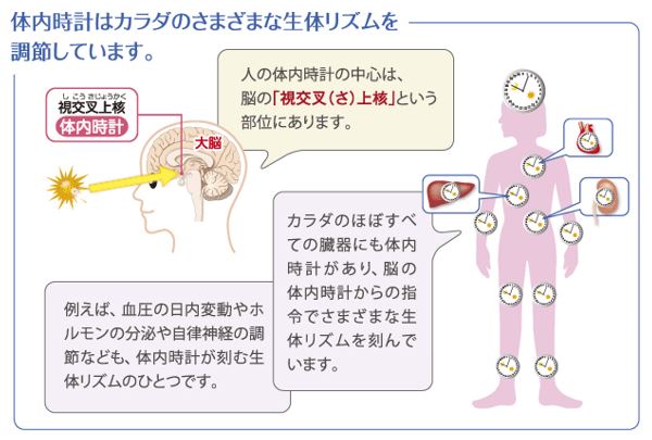 出典：http://www.tainaidokei.jp/