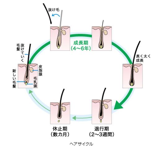 出典：http://www.kao.com/jp/