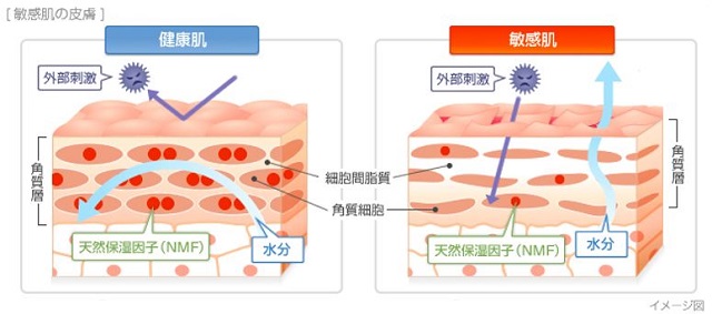 出典：https://www.daiichisankyo-hc.co.jp/