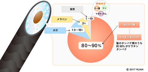 出典：https://www.ruan.co.jp/column/